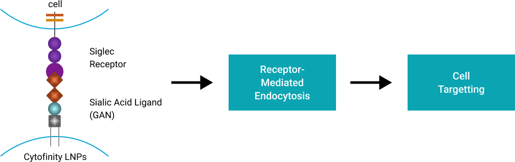 Group 22000 content-image