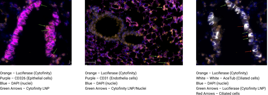 Group 22038 (3) content-image