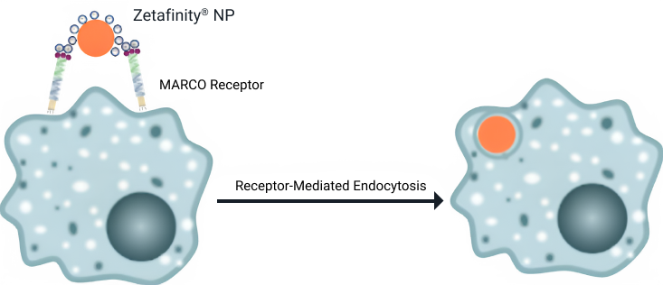 Group 22039 (1) content-image