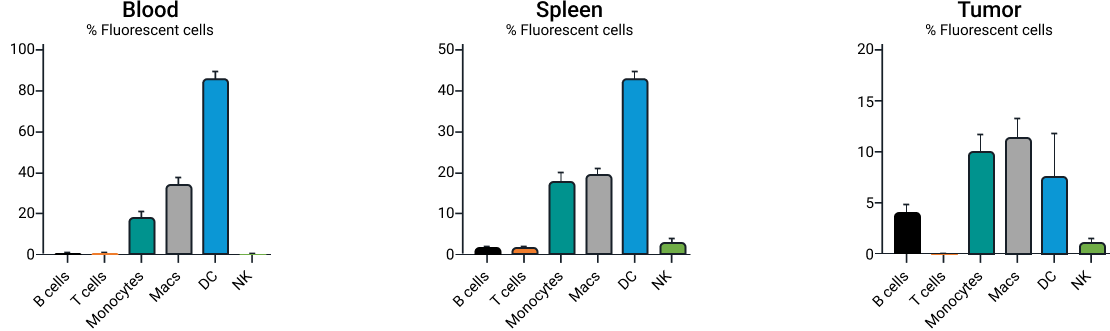 Group 22039 (2) content-image