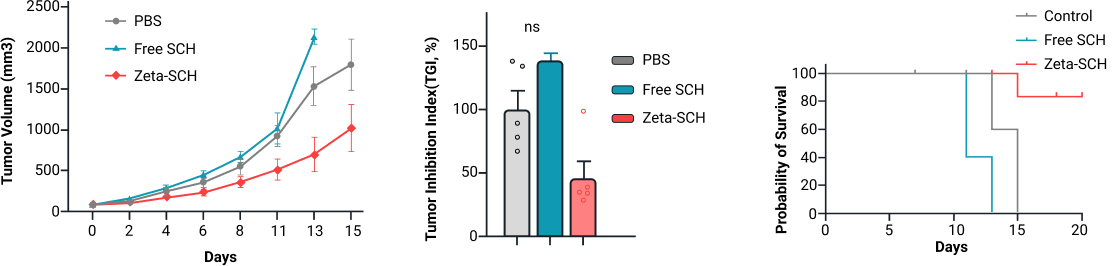 Group 22039 (3) content-image