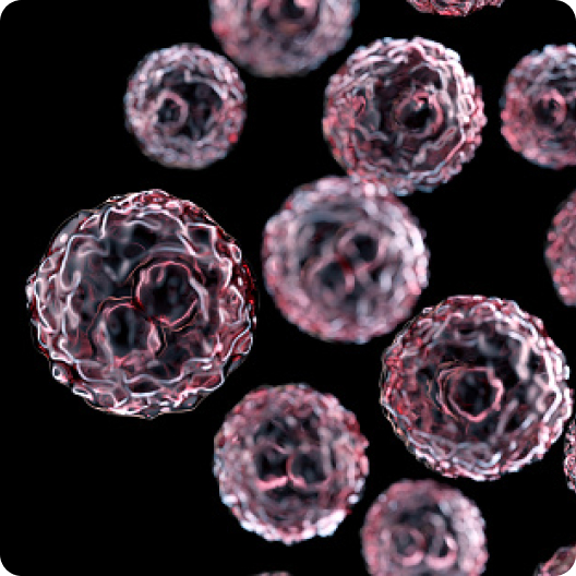 unnamed-1 content-image