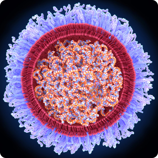 unnamed (2) content-image