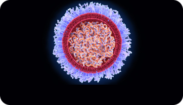 Targeted Drug Delivery