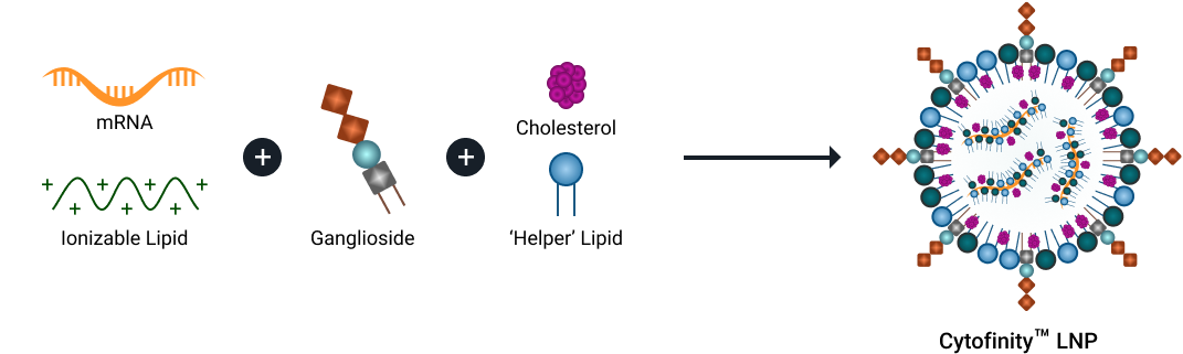 Group 21974 content-image