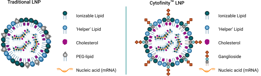 Group 22034 content-image