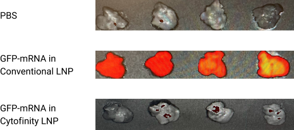 Group 22035 - updated content-image