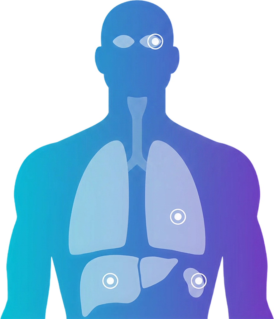 organ diagram clickable cytofinity