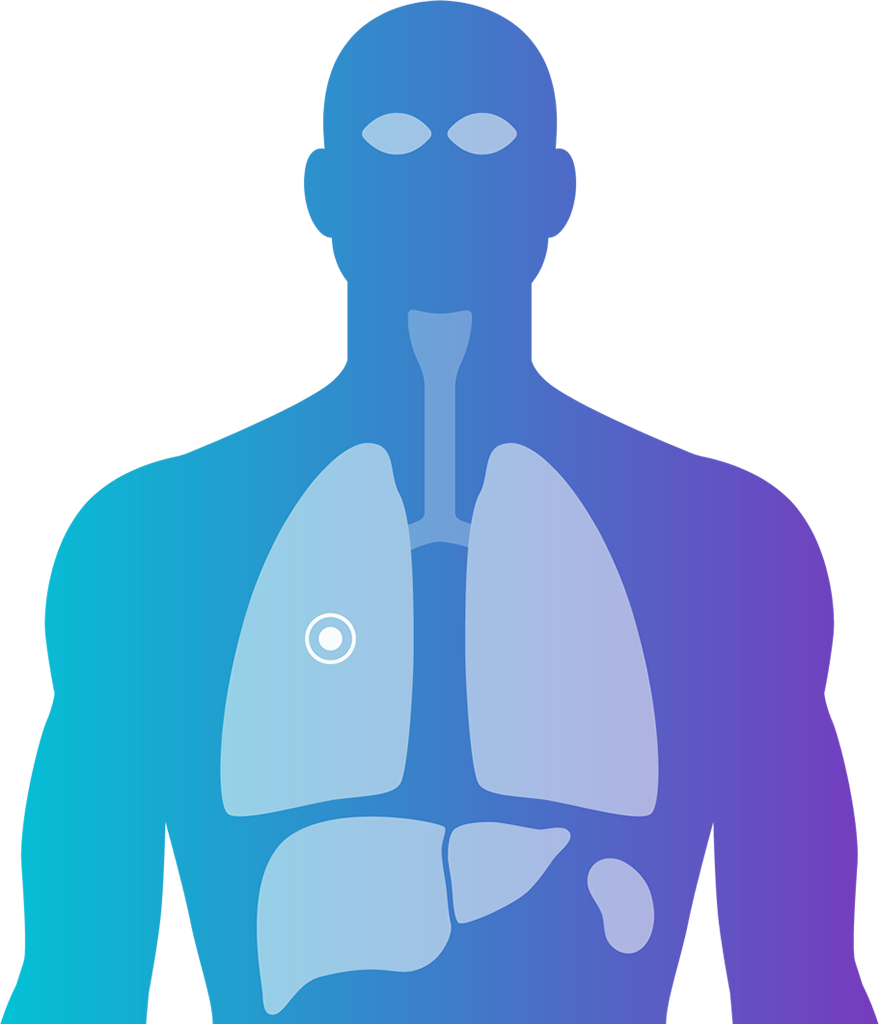organ diagram clickable pulmofinity